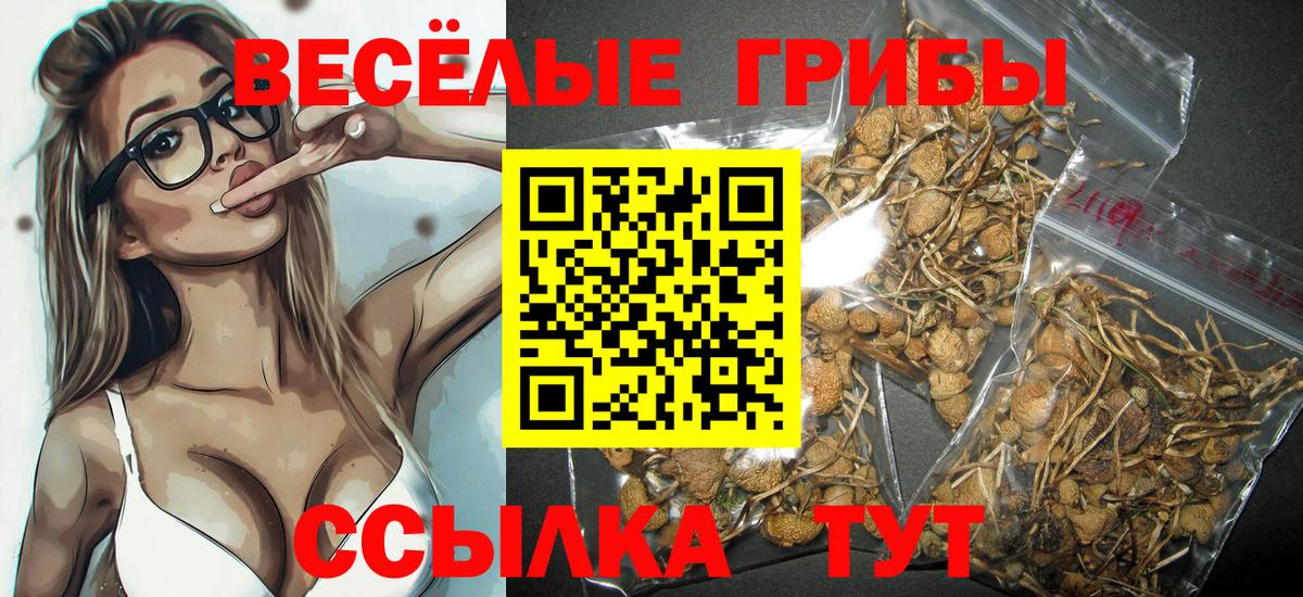 Псилоцибиновые грибы прущие грибы  Галлюциногенные грибы Magic Shrooms  Вход с VPN  Элиста 